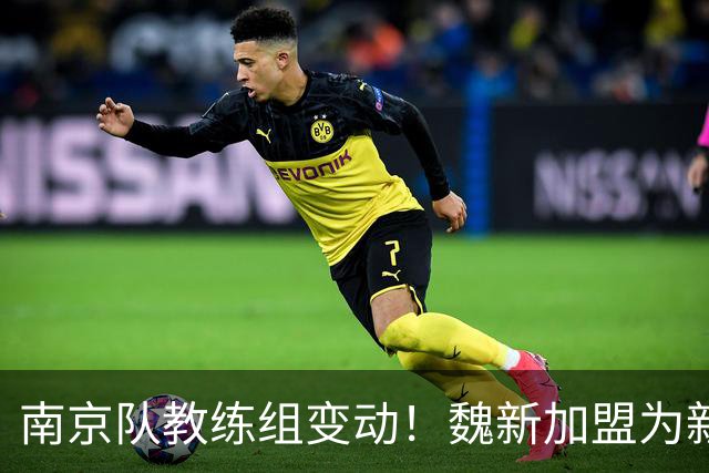 南京队教练组变动！魏新加盟为新任教练，备战新赛季