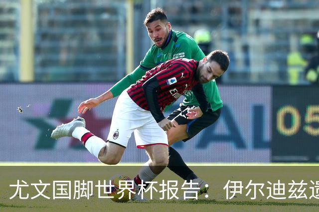 尤文国脚世界杯报告：伊尔迪兹遗憾出局，布雷默枯坐板凳