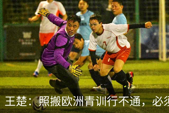 王楚：照搬欧洲青训行不通，必须培养出有自主决策能力的球员